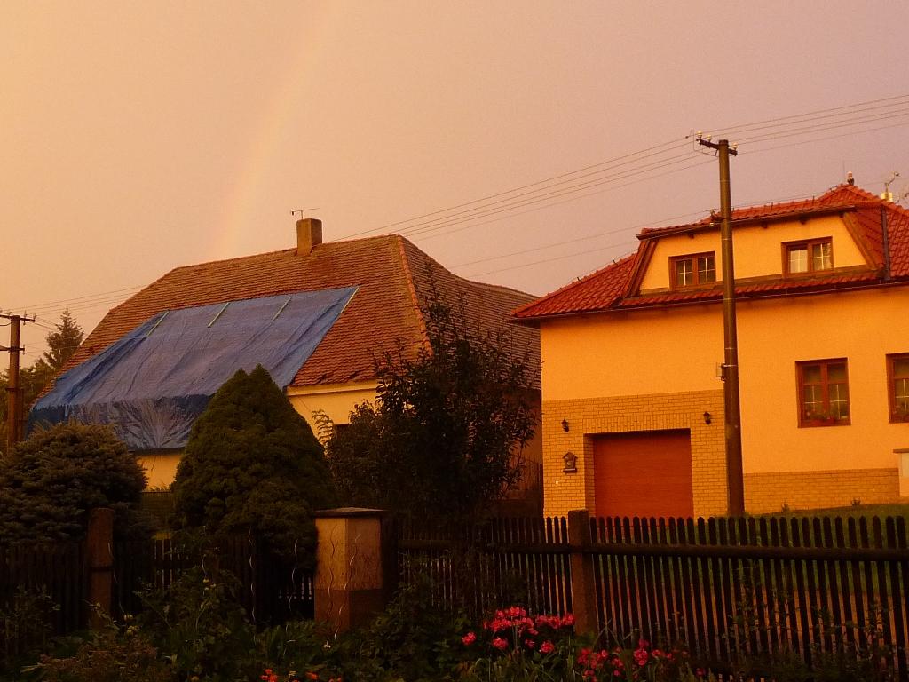 Třibřichy
